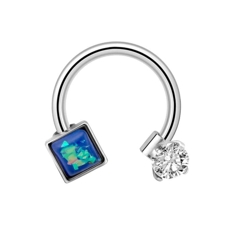 Piercing Oreille Anneau